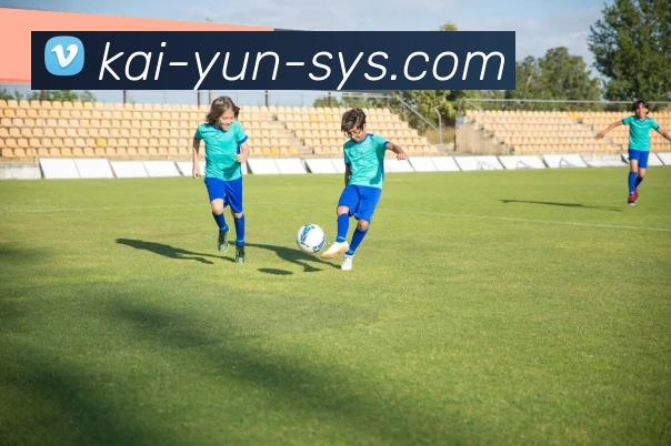 开云平台展示图