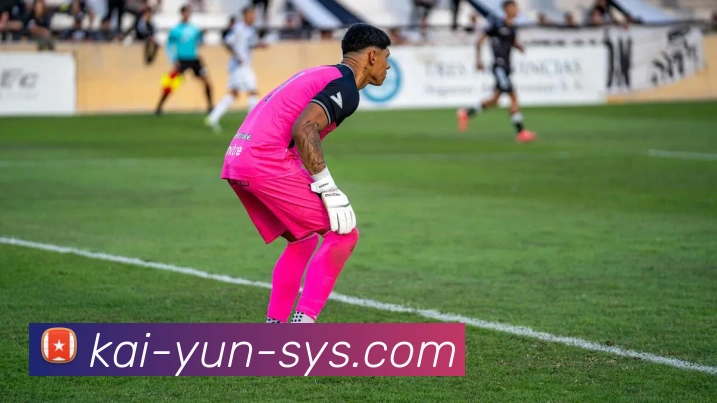 开云官网全站App